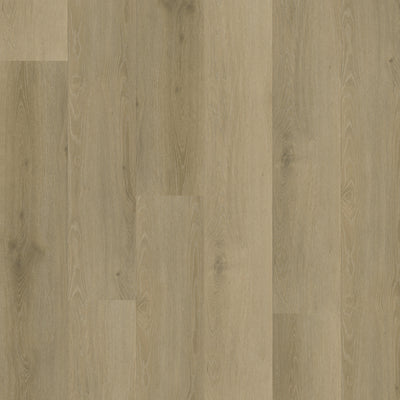Belakos Rustico 20 | Bruin