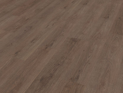 Belakos Monastro 900 | Rigid Click | Bruin