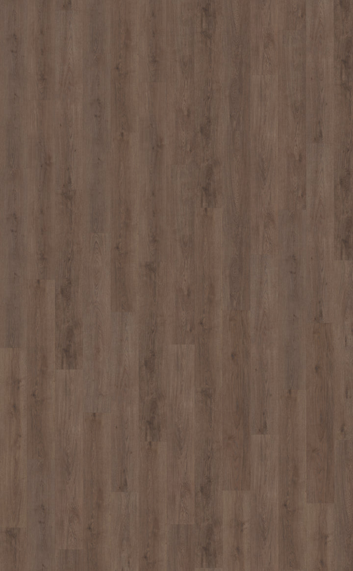 Belakos Monastro 900 | Rigid Click | Bruin