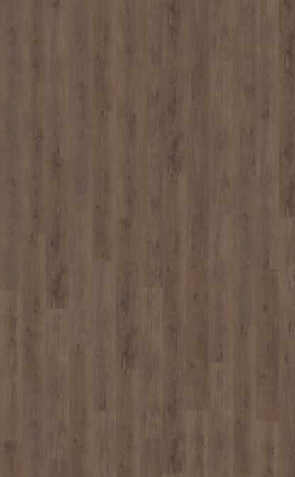 Belakos Monastro 900 | Rigid Click | Bruin