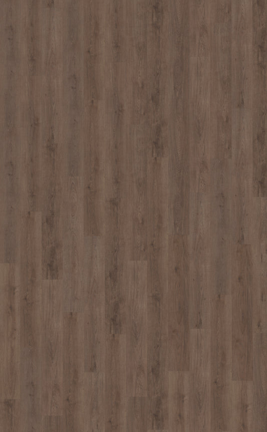 Belakos Monastro 900 | Bruin