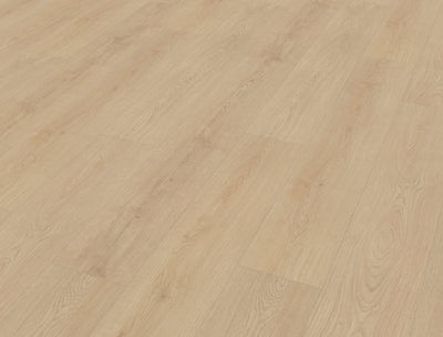 Belakos Monastro 920 | Rigid Click | Bruin