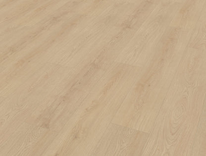 Belakos Monastro 920 | Rigid Click | Bruin