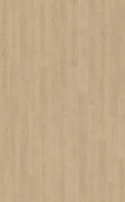 Belakos Monastro 920 | Rigid Click | Bruin