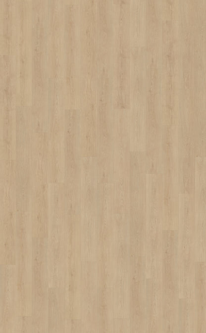 Belakos Monastro 920 | Rigid Click | Bruin