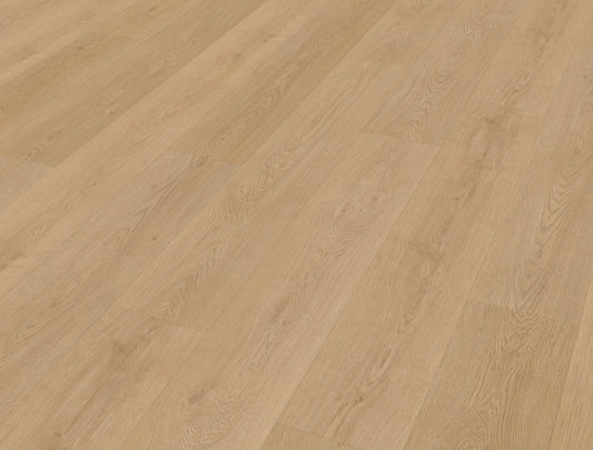 Belakos Monastro 930 | Rigid Click | Bruin