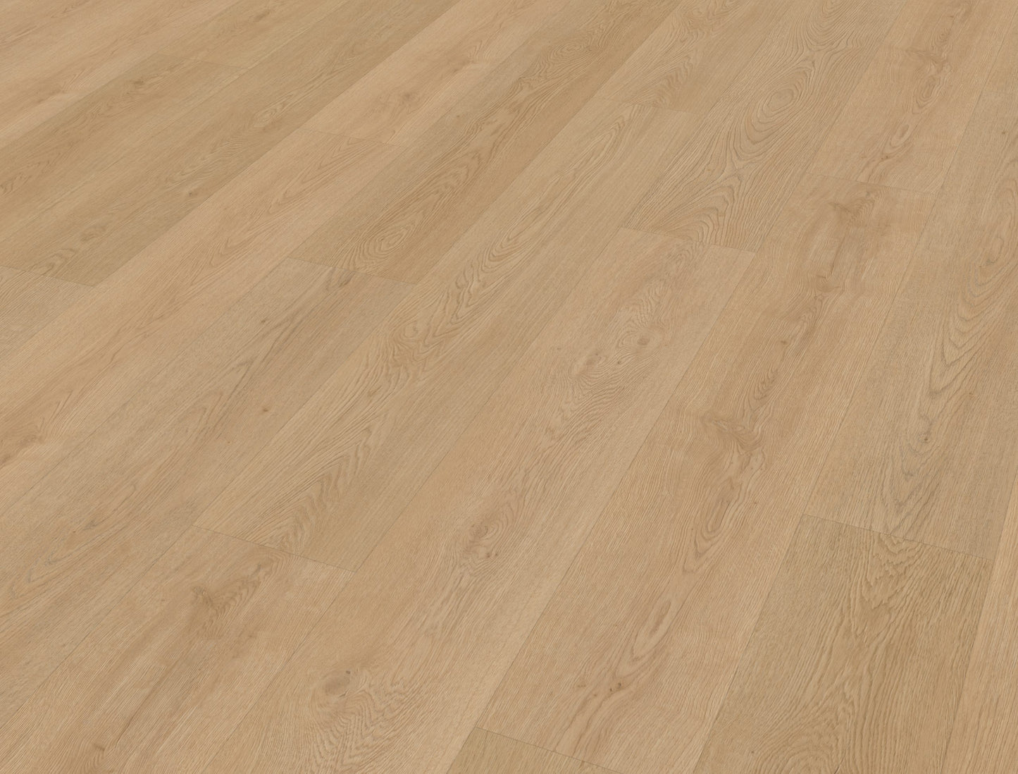 Belakos Monastro 930 | Bruin