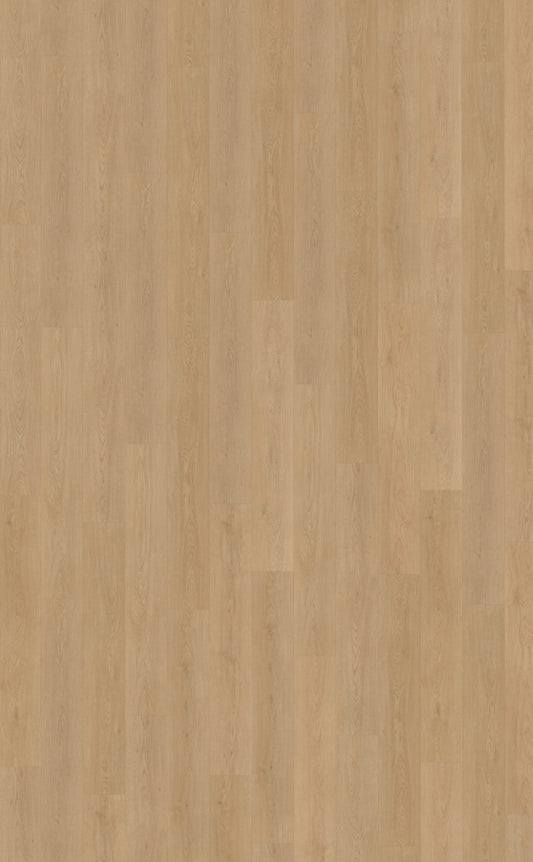 Belakos Monastro 930 | Rigid Click | Bruin