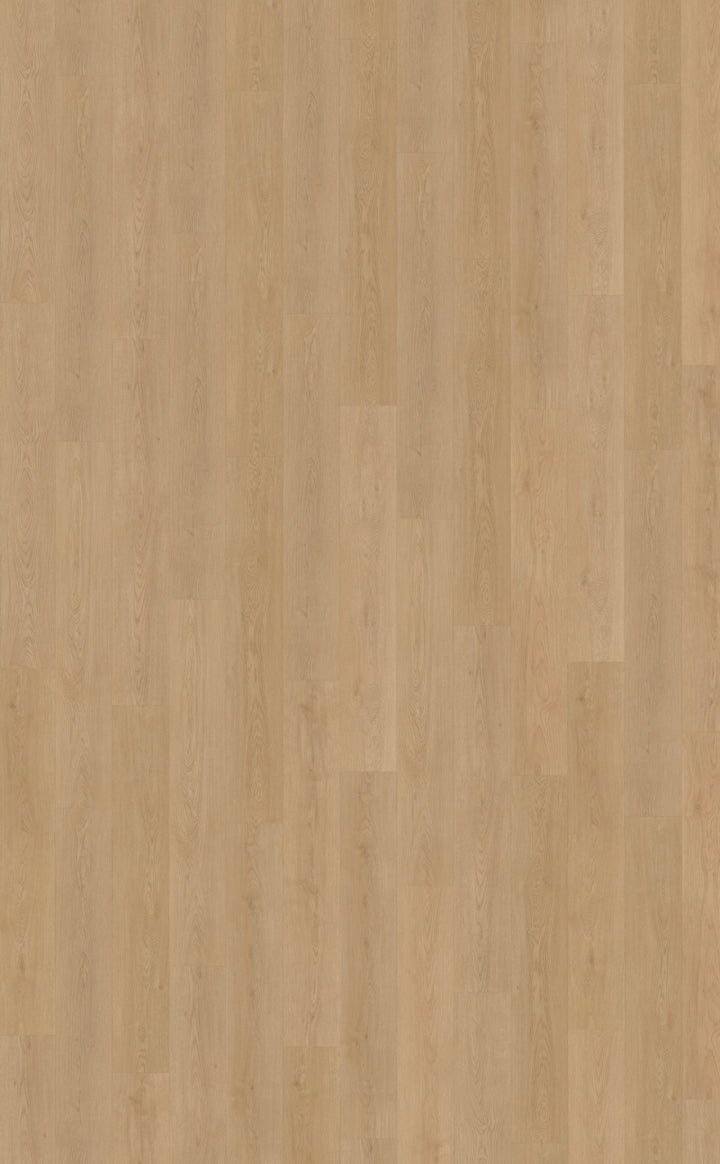 Belakos Monastro 930 | Bruin