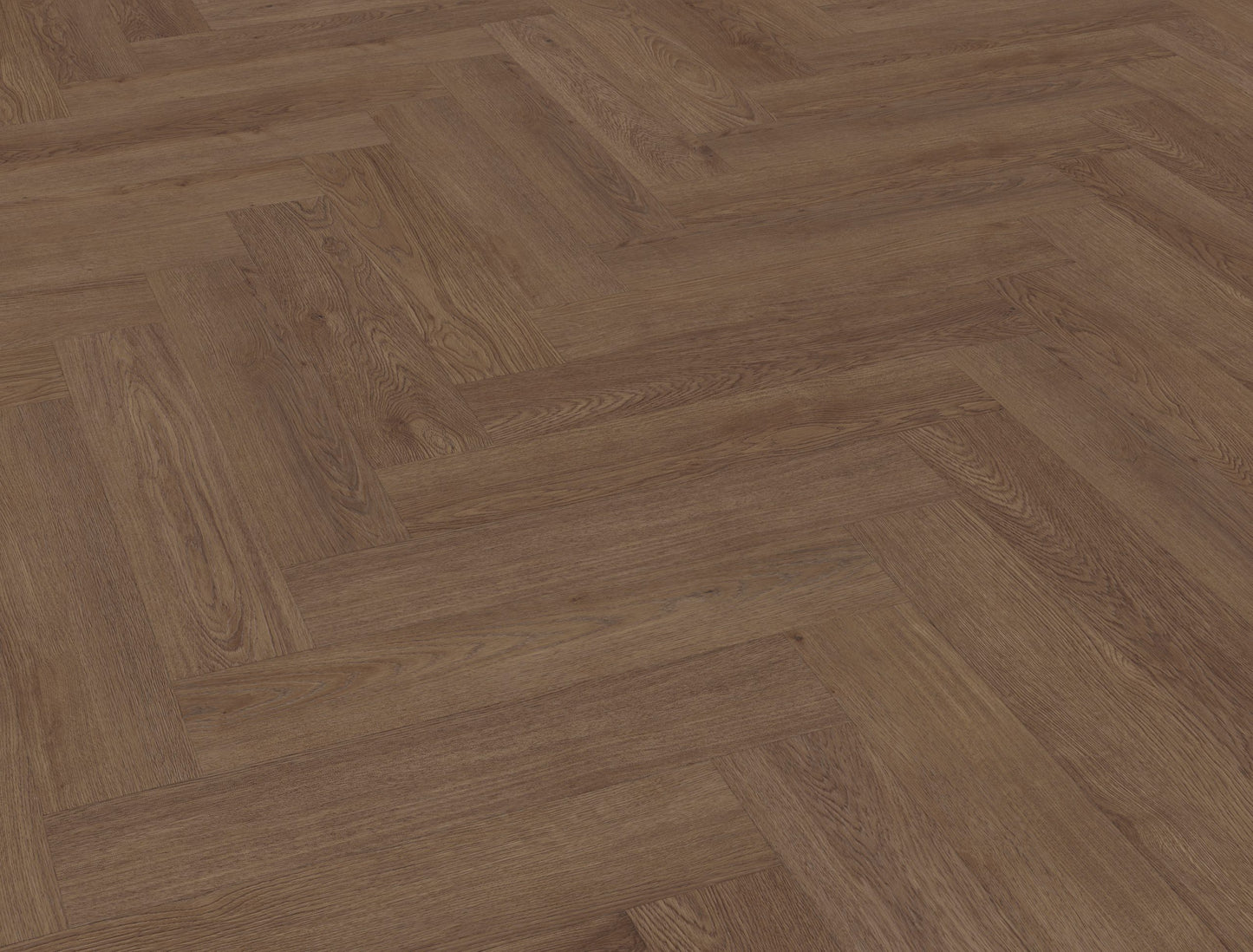 Belakos Monastro visgraat XL 91 | Bruin