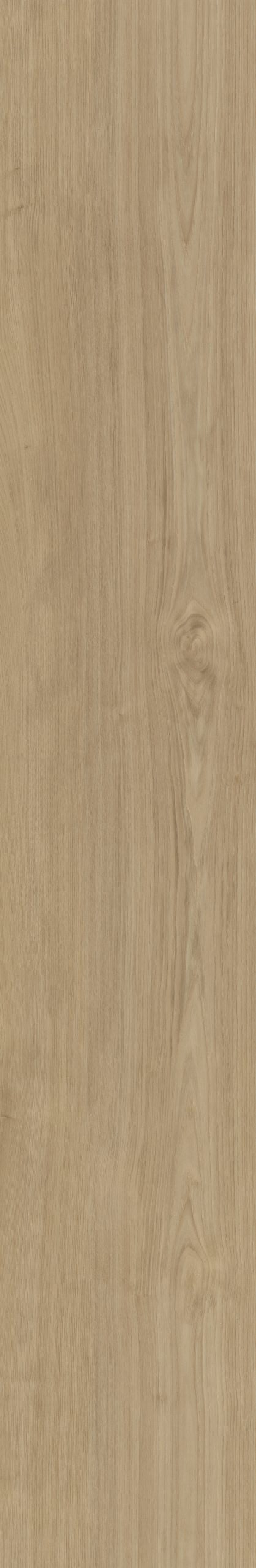 Belakos Portico 540 | Bruin