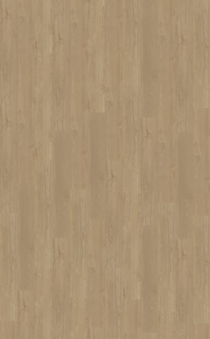 Belakos Portico 540 | Bruin
