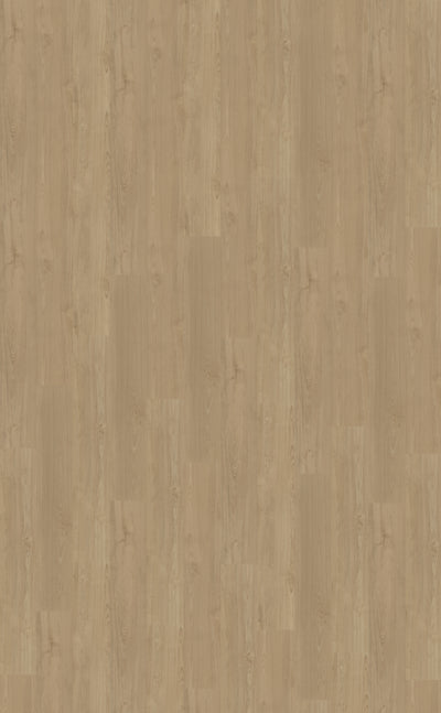 Belakos Portico 540 | Bruin