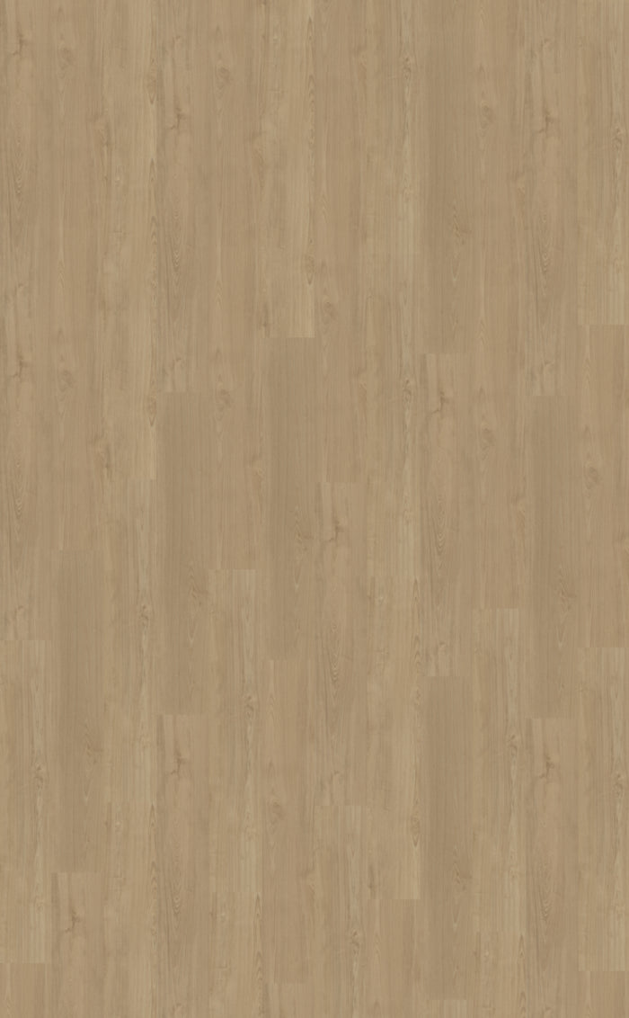 Belakos Portico 540 | Bruin