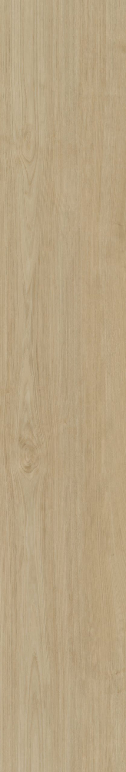 Belakos Portico 550 | Bruin