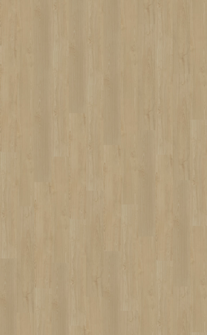 Belakos Portico 550 | Rigid Click | Beige