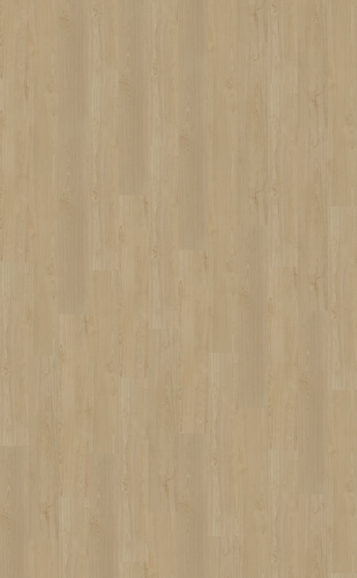 Belakos Portico 550 | Rigid Click | Beige