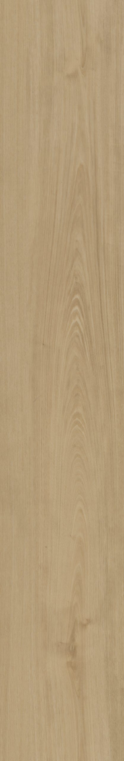 Belakos Portico 560 | Bruin