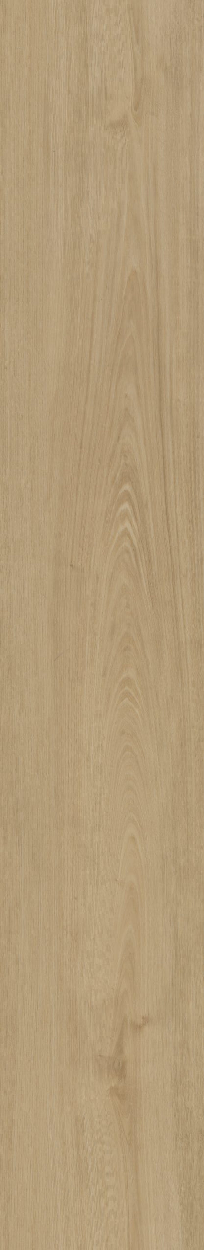 Belakos Portico 560 | Bruin