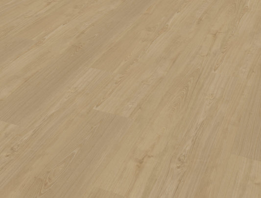 Belakos Portico 560 | Bruin