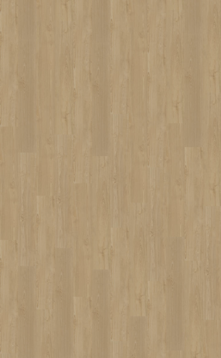 Belakos Portico 560 | Rigid Click | Beige