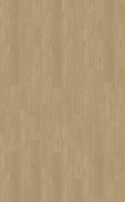 Belakos Portico 560 | Rigid Click | Beige