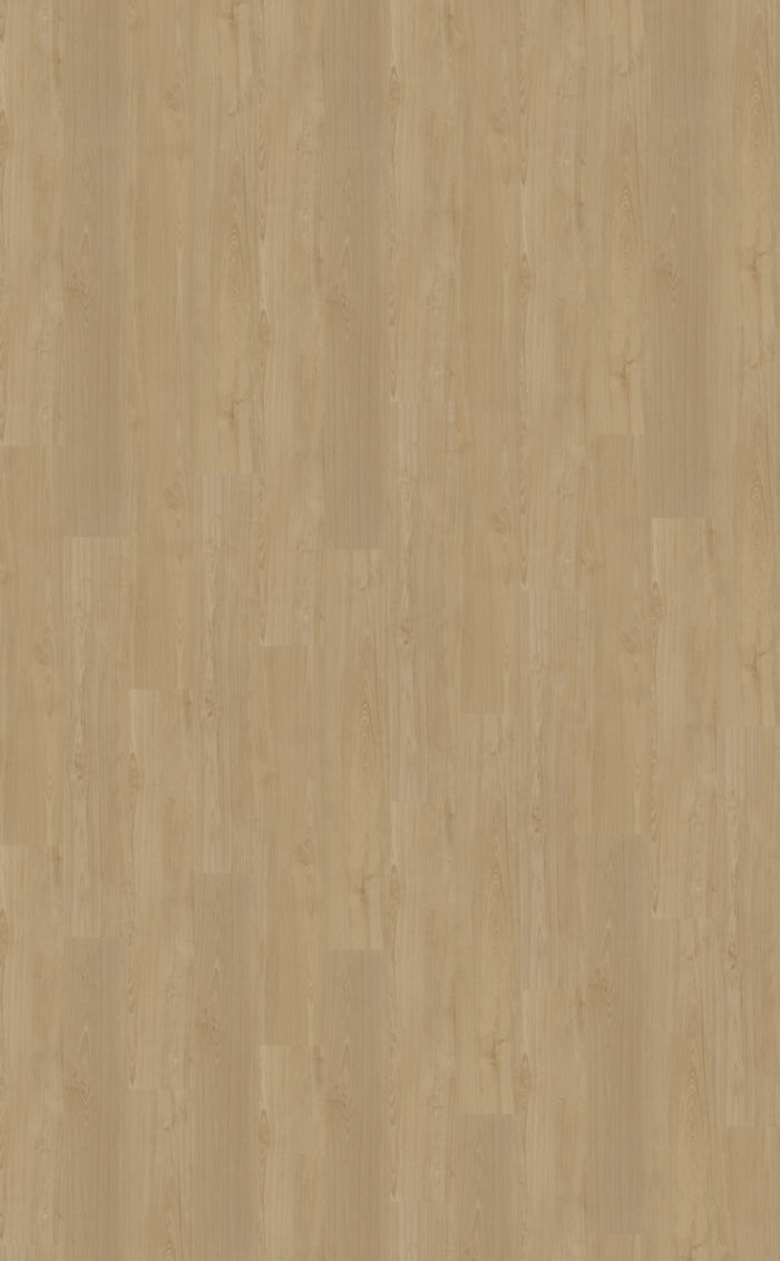 Belakos Portico 560 | Rigid Click | Beige
