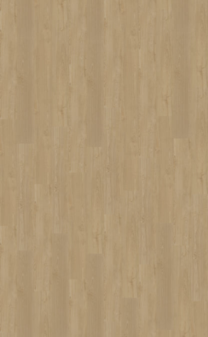 Belakos Portico 560 | Bruin