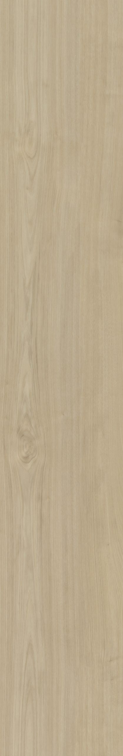 Belakos Portico 570 | Bruin