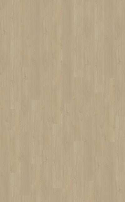 Belakos Portico 570 | Rigid Click | Beige