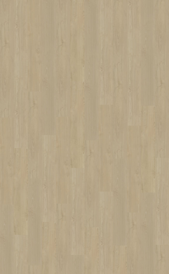 Belakos Portico 570 | Rigid Click | Beige