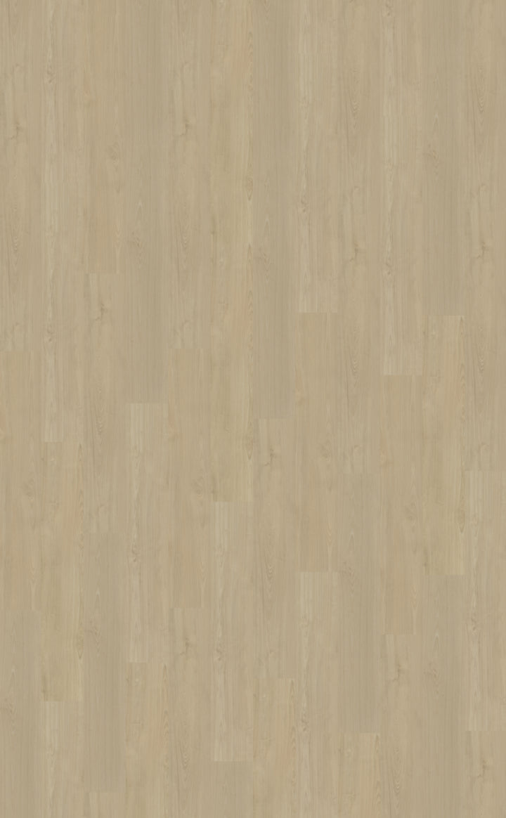 Belakos Portico 570 | Bruin