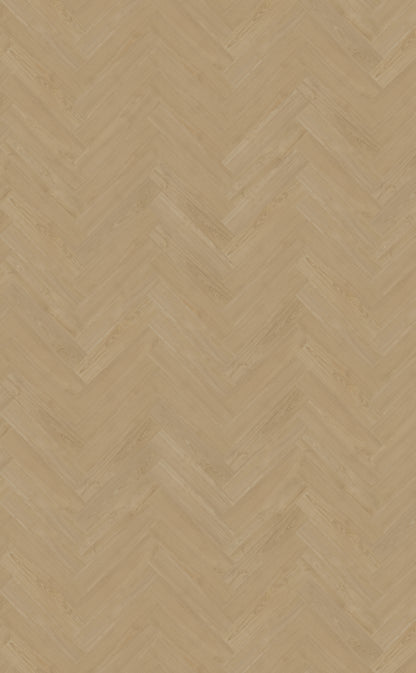 Belakos Portico visgraat XL 56 | Bruin