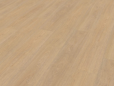 Belakos Terreno 610 | Bruin