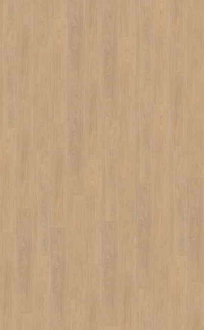 Belakos Terreno 610 | Bruin