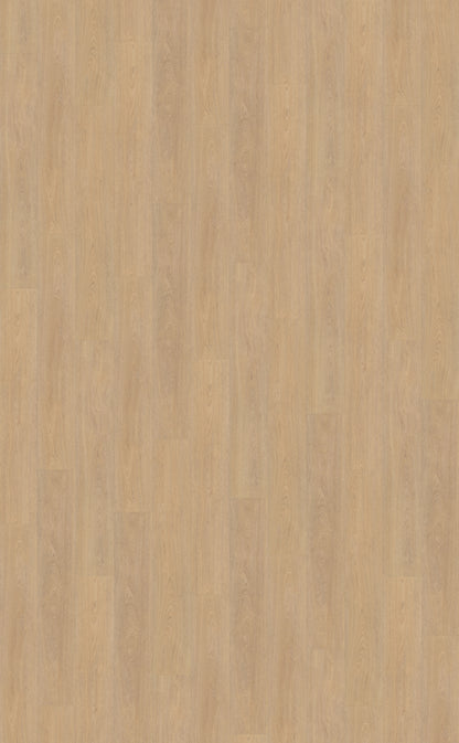 Belakos Terreno 610 | Bruin