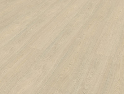 Belakos Terreno 620 | Bruin