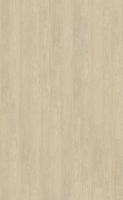 Belakos Terreno 620 | Bruin