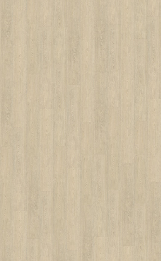 Belakos Terreno 620 | Bruin