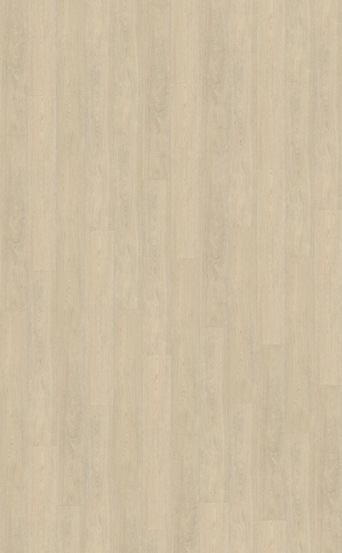 Belakos Terreno 620 | Bruin