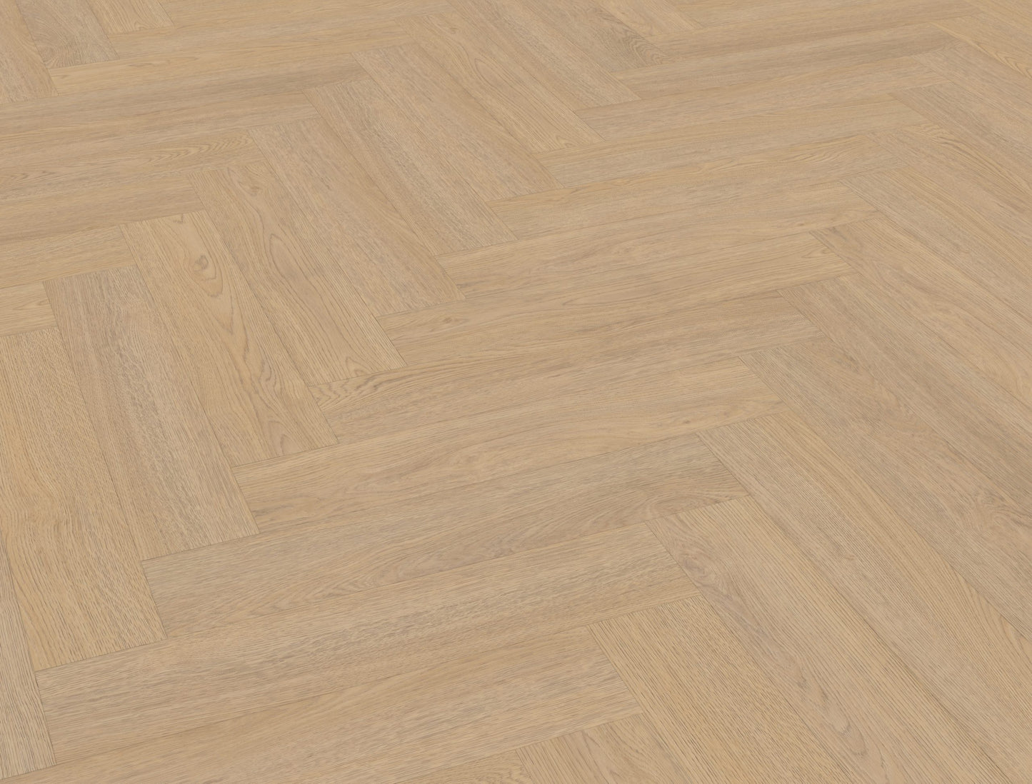 Belakos Terreno visgraat XL 61 | Bruin