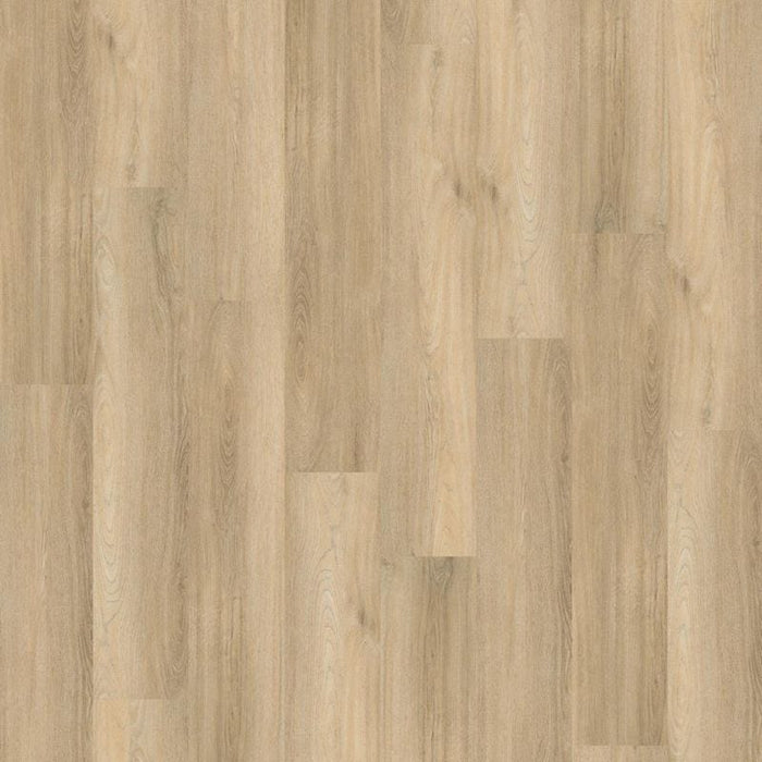 Ambiant Avanto (Beige)