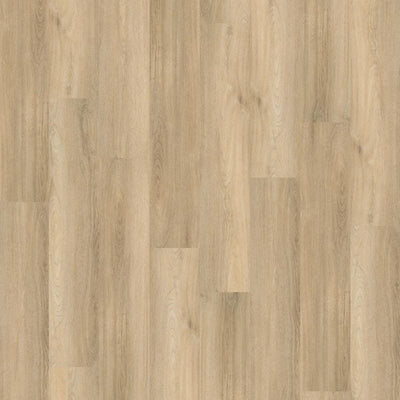 Ambiant Avanto Silent Rigid Click (Beige)