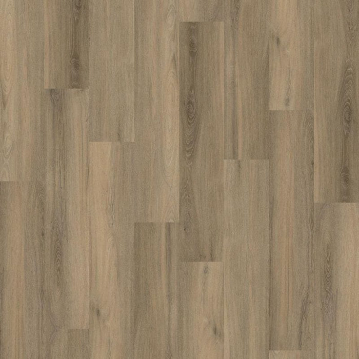 Ambiant Avanto Silent Rigid Click (Smoky)