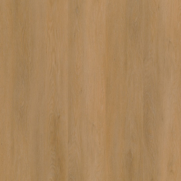 Ambiant Sentima (Dark Oak)
