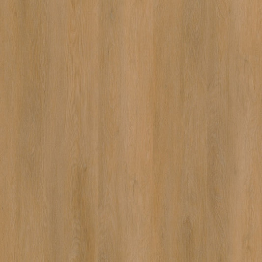 Ambiant Sentima (Dark Oak)