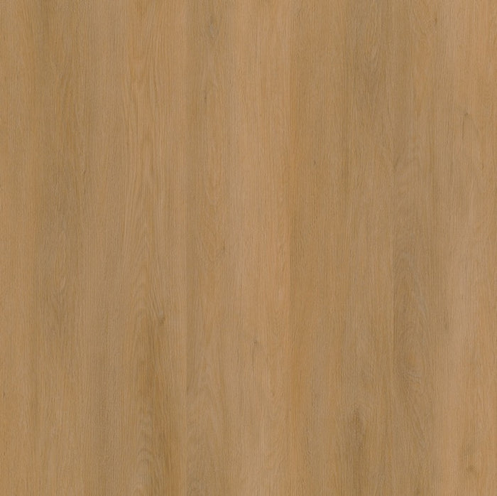 Ambiant Sentima (Dark Oak)