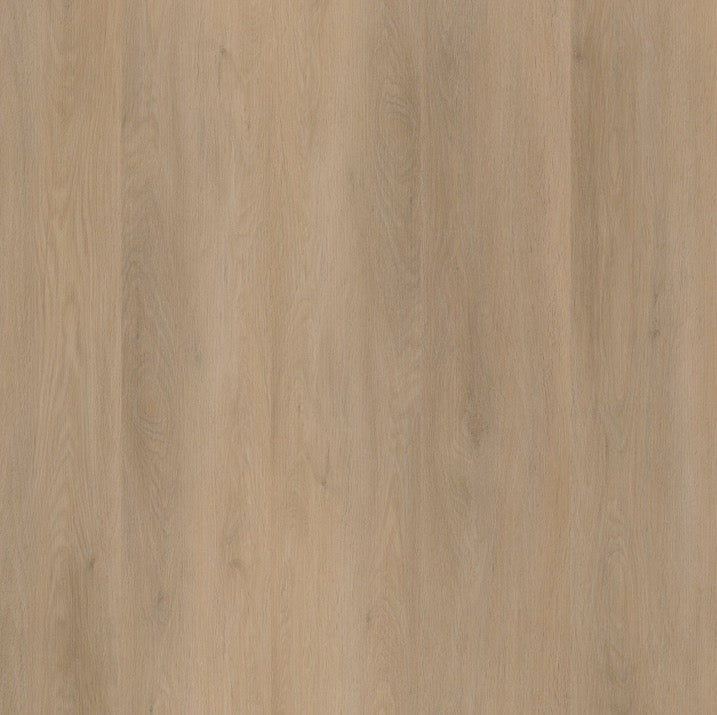 Ambiant Sentima klik (Beige)