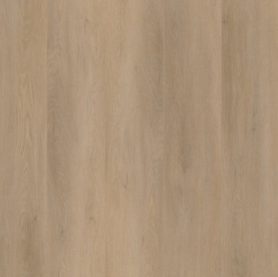 Ambiant Sentima klik (Beige)
