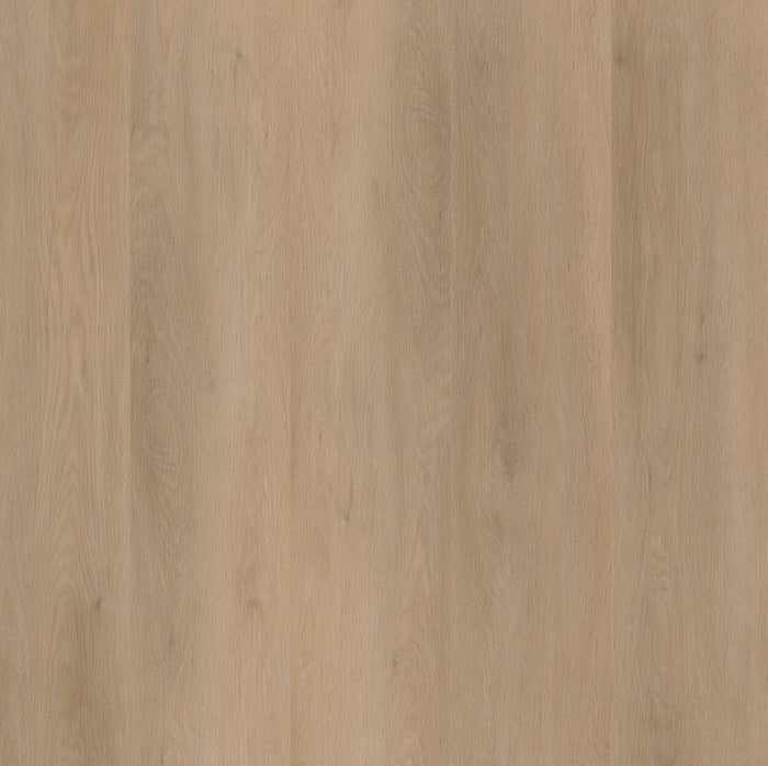 Ambiant Sentima klik (Beige)
